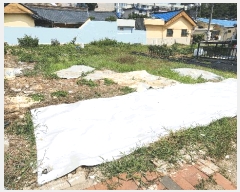  2025Ÿ��547  �������