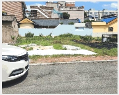  2025Ÿ��547  �������