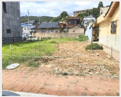  2025Ÿ��547  �������