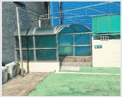  2025Ÿ��556  ���ڽü����