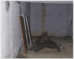  2025Ÿ��556  ���ڽü����