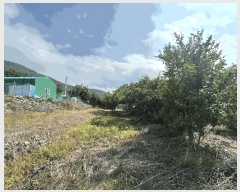  2025Ÿ��574  ����