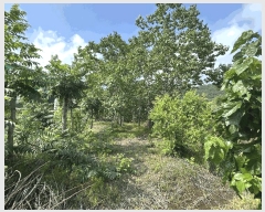  2025Ÿ��574  ����