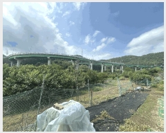  2025Ÿ��574  ����