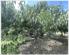  2025Ÿ��574  ����