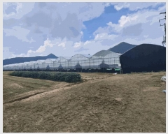  2025Ÿ��707 �泲 ���ؽ� �뵿�� ���ȸ� 1352-1      ����(��)���