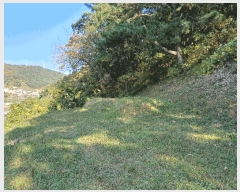  2025Ÿ��783  �Ӿ߰��