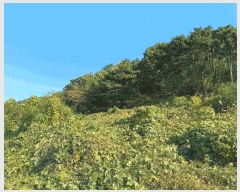  2025Ÿ��783  �Ӿ߰��