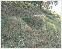  2025Ÿ��783  �Ӿ߰��