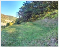  2025Ÿ��783  �Ӿ߰��