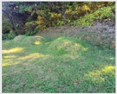  2025Ÿ��783  �Ӿ߰��