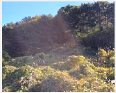  2025Ÿ��783  �Ӿ߰��