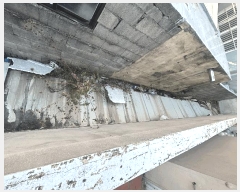  2025Ÿ��803  �ٸ����ð��