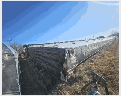  2025Ÿ��843  ����