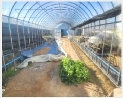  2025Ÿ��843  ����