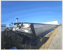  2025Ÿ��843  ����