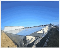  2025Ÿ��843  ����