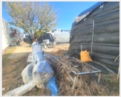  2025Ÿ��843  ����