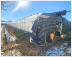  2025Ÿ��843  ����