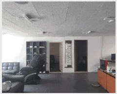  2025Ÿ��11092 �泲 ���ؽ� ������ ���긮 318-5      ������