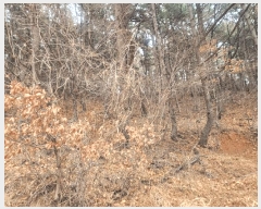  2025Ÿ11146 泲 â ر ֵ 165      (Ӿ)