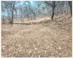  2025Ÿ11146 泲 â ر ֵ 165      (Ӿ)