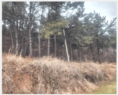  2025Ÿ11146 泲 â ر ֵ 165      (Ӿ)