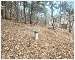  2025Ÿ11146 泲 â ر ֵ 165      (Ӿ)