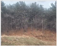  2025Ÿ11146 泲 â ر ֵ 165      (Ӿ)