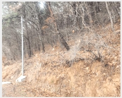  2025Ÿ11146 泲 â ر ֵ 165      (Ӿ)