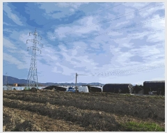  2025Ÿ��11199 �泲 â���� ��â�� ���� �ϵ��� 749     ����(��)���