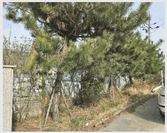  2025Ÿ11209 泲 ؽ 󵿸 Ÿ 223      ,â