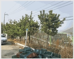  2025Ÿ11209 泲 ؽ 󵿸 Ÿ 223      ,â