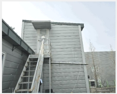  2025Ÿ11209 泲 ؽ 󵿸 Ÿ 223      ,â