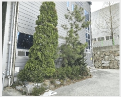  2025Ÿ11209 泲 ؽ 󵿸 Ÿ 223      ,â