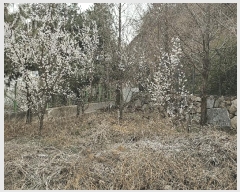  2025Ÿ11209 泲 ؽ 󵿸 Ÿ 223      ,â