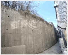  2025Ÿ11245 泲 ؽ Ѹ 𷡸 1091-9      