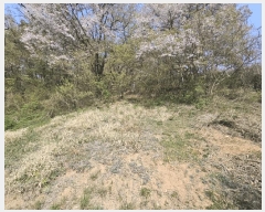  2025Ÿ��11273 �泲 ���ؽ� �Ѹ��� ������ ��103-2      ����(�Ӿ�)���