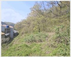  2025Ÿ��11273 �泲 ���ؽ� �Ѹ��� ������ ��103-2      ����(�Ӿ�)���