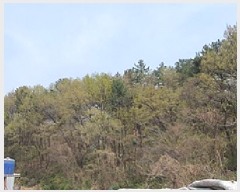  2025Ÿ��11273 �泲 ���ؽ� �Ѹ��� ������ ��103-2      ����(�Ӿ�)���