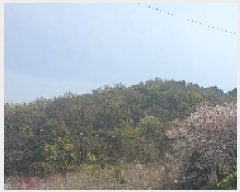  2025Ÿ��11273 �泲 ���ؽ� �Ѹ��� ������ ��103-2      ����(�Ӿ�)���