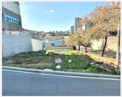  2025Ÿ��11289  �������