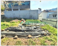  2025Ÿ��11289  �������