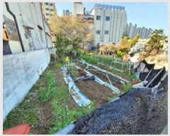  2025Ÿ��11289  �������