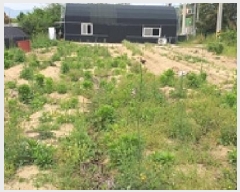  2025Ÿ11335 泲 ؽ ϵ 332-2       ()