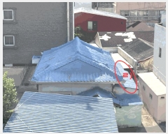  2025Ÿ11335 泲 ؽ ϵ 332-2       ()