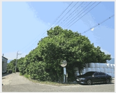  2025Ÿ��11379 �泲 ���ؽ� ���ʸ� ��ȸ� 518      ����(��1)���