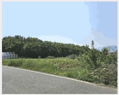  2025Ÿ��11379 �泲 ���ؽ� ���ʸ� ��ȸ� 518      ����(��1)���