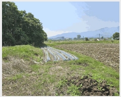  2025Ÿ��11379 �泲 ���ؽ� ���ʸ� ��ȸ� 518      ����(��1)���