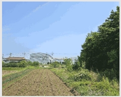  2025Ÿ��11379 �泲 ���ؽ� ���ʸ� ��ȸ� 518      ����(��1)���